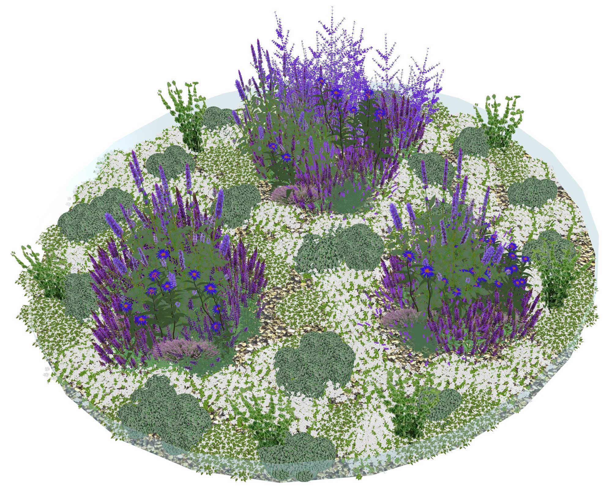 'Herbal Fortress' illustrates how Lamiaceae oils form protective 'halos' against bacteria in lab cultures.